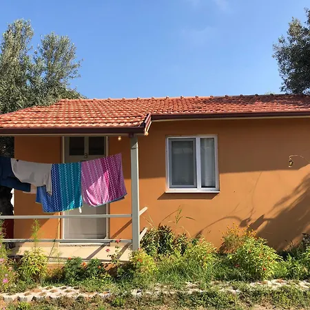 Gunes Tatil Koyu