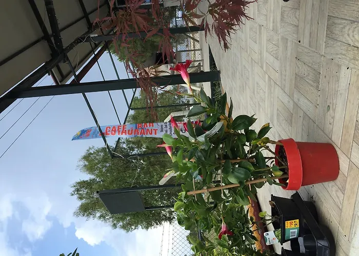 Gunes Tatil Koyu Tatil parkı 3*