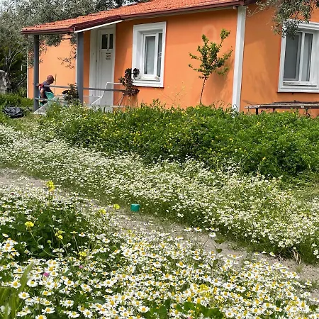 Tatil parkı Gunes Bademli (Dikili)