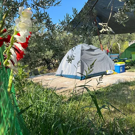 Gunes tatil köyü 3* Bademli (Dikili)