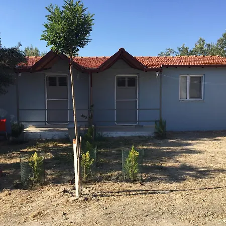 Gunes Tatil Koyu 3* Bademli