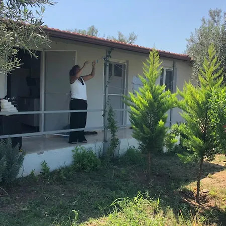 פארק נופש Gunes Tatil Koeyue Bademli (Dikili)
