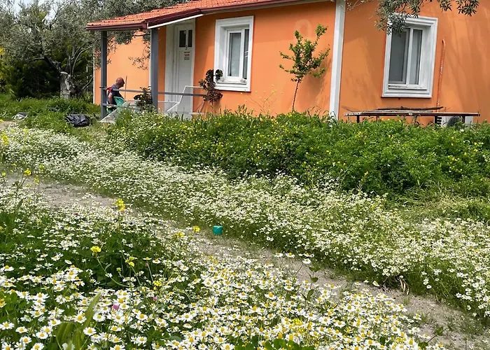 Tatil parkı Gunes Tatil Koyu Bademli (Dikili)