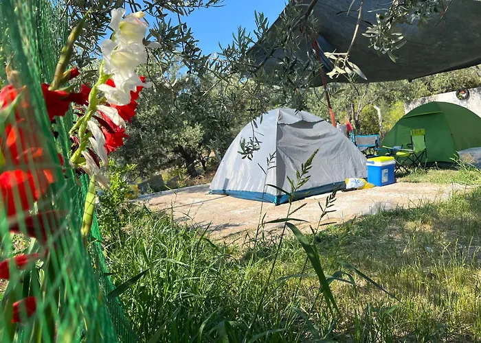 Gunes Tatil Koyu 3* Bademli (Dikili)