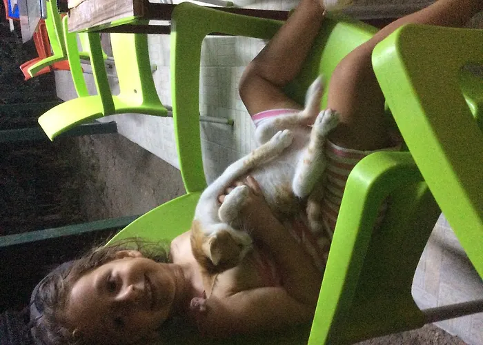 Gunes Tatil Koyu Tatil parkı 3*