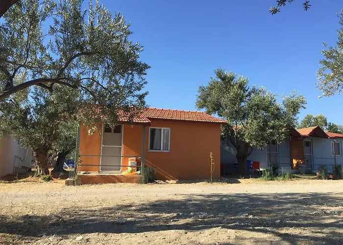 Tatil parkı Gunes Tatil Koyu 3*