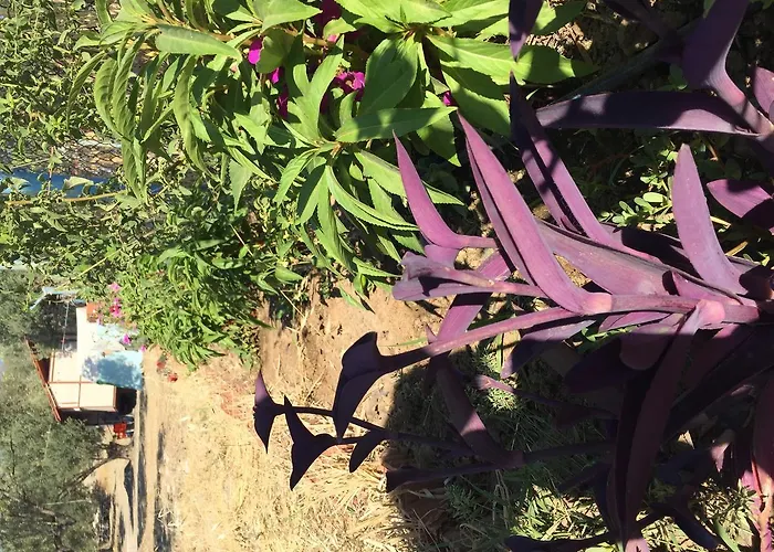 Tatil parkı Gunes Tatil Koyu